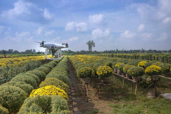 The role of iot in agriculture: boosting efficiency and sustainability